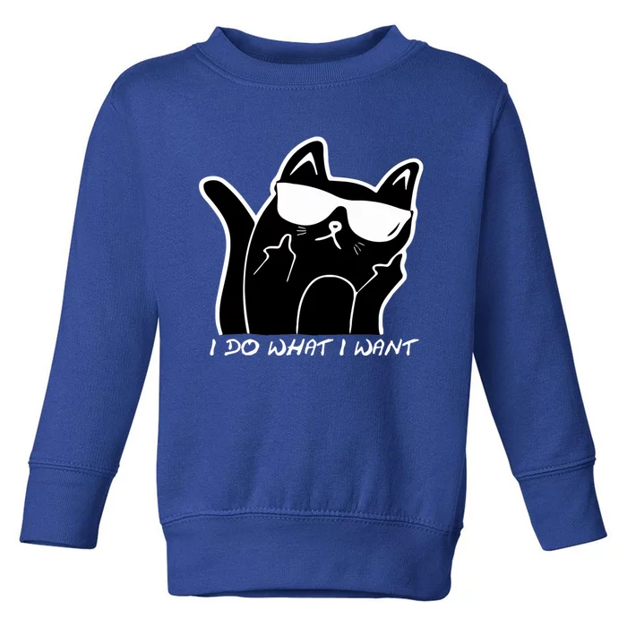 Funny Sarcastic Cat I Do What I Want Adults Gift Funny Gift Toddler Sweatshirt