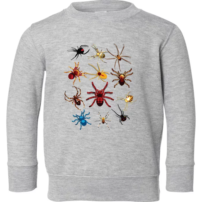 Funny Spiders Cute Halloween Scary Spiders Gift Toddler Sweatshirt