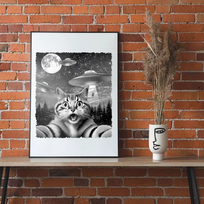 Funny Scared Cat Selfie With Ufos Gift Idea Poster