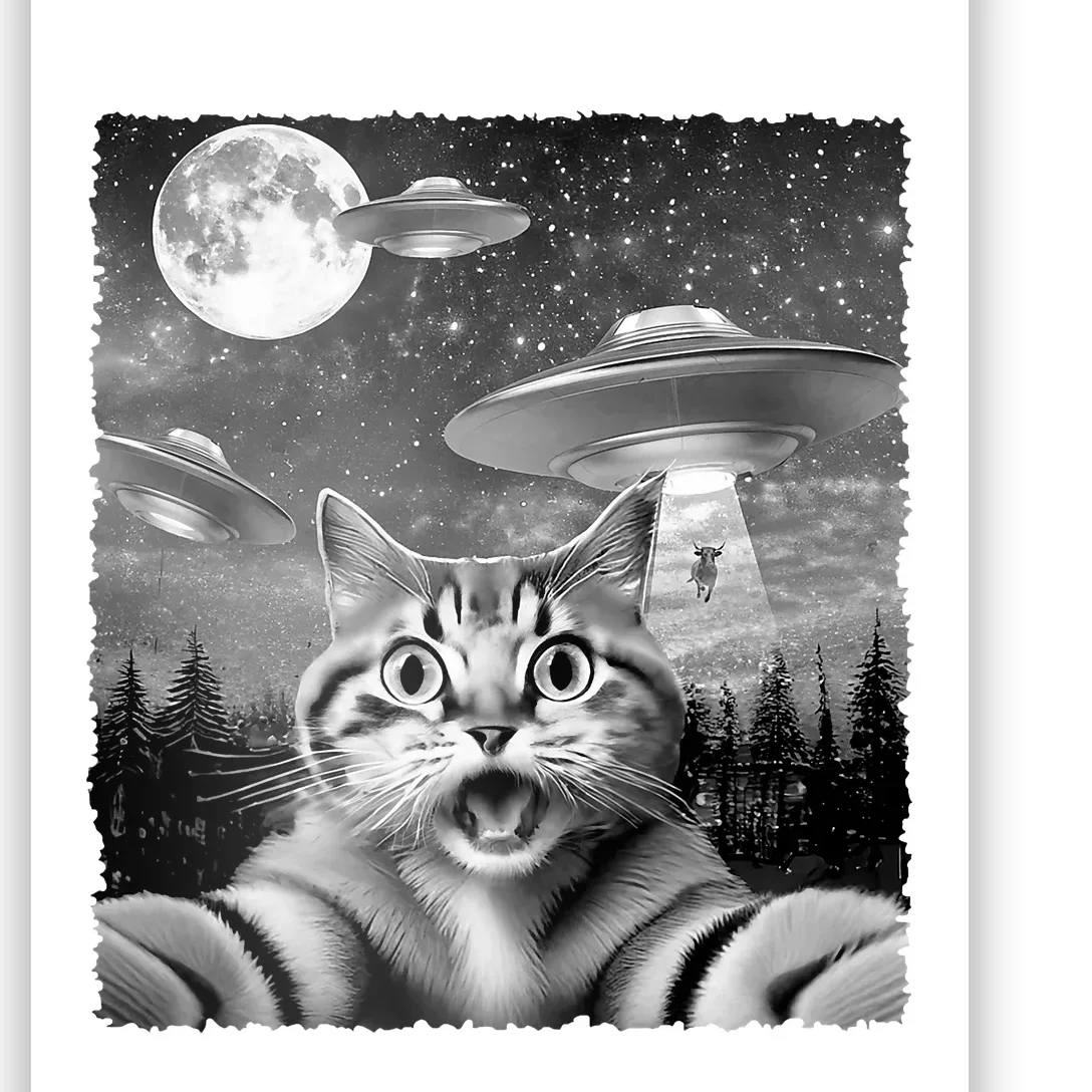 Funny Scared Cat Selfie With Ufos Gift Idea Poster