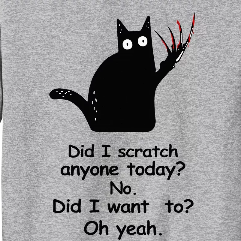 Funny Sarcastic Cat Have I Scratched Anyone Today Black Cat Tall Sweatshirt