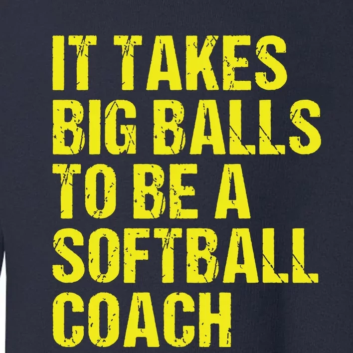 Funny Softball Coach Gift Softball Coach Tee Toddler Sweatshirt