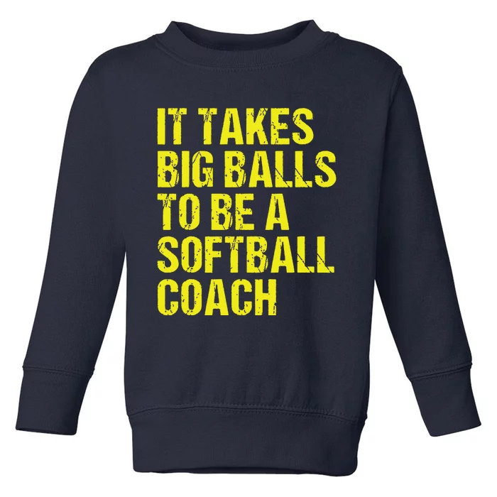 Funny Softball Coach Gift Softball Coach Tee Toddler Sweatshirt