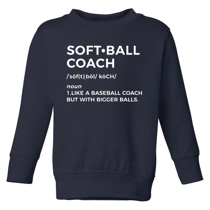 Funny Softball Coach Gift Softball Coach Tee Toddler Sweatshirt