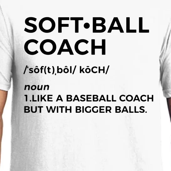 Funny Softball Coach Gift Softball Coach Tee Pajama Set