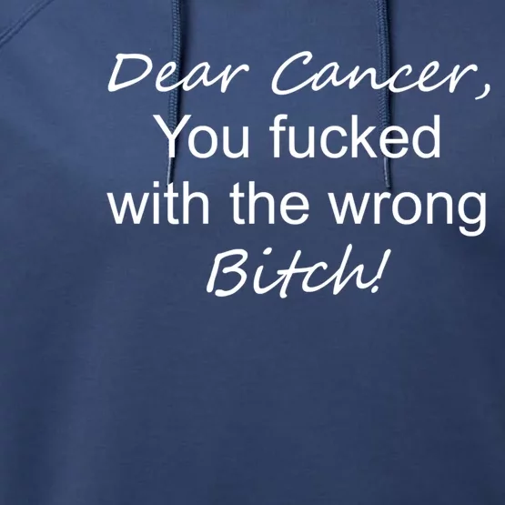 Funny Saying Cancer Fighter Gift Performance Fleece Hoodie