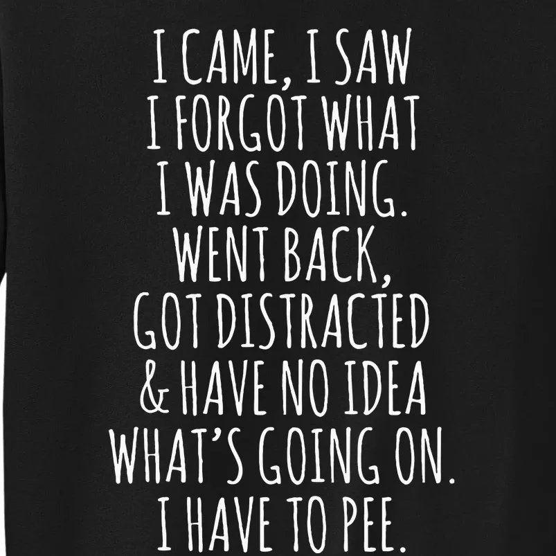 Funny Senior Citizen I Came I Saw I Forgot What I Was Doing Tall Sweatshirt