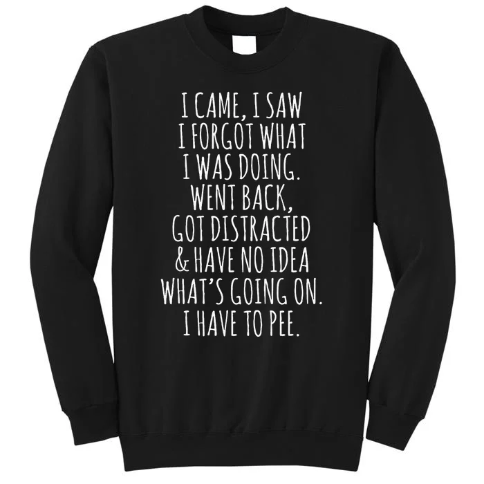 Funny Senior Citizen I Came I Saw I Forgot What I Was Doing Tall Sweatshirt