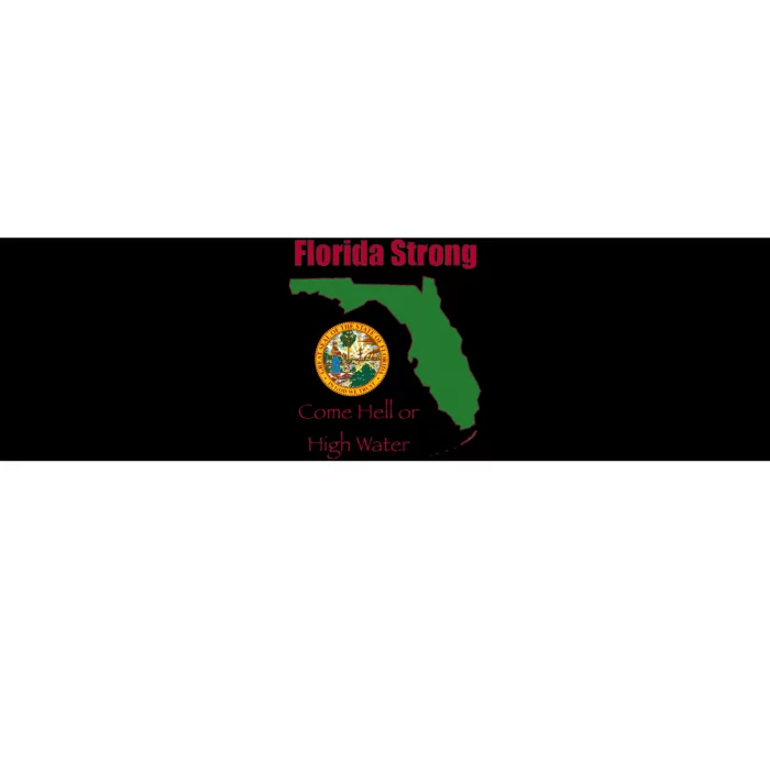 Florida Strong Come Hell Or High Water Bumper Sticker