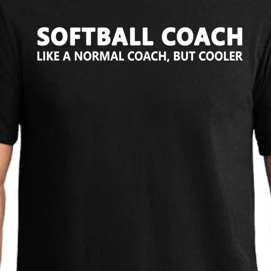 Funny Softball Coach Definition Softball Coach Gift Pajama Set