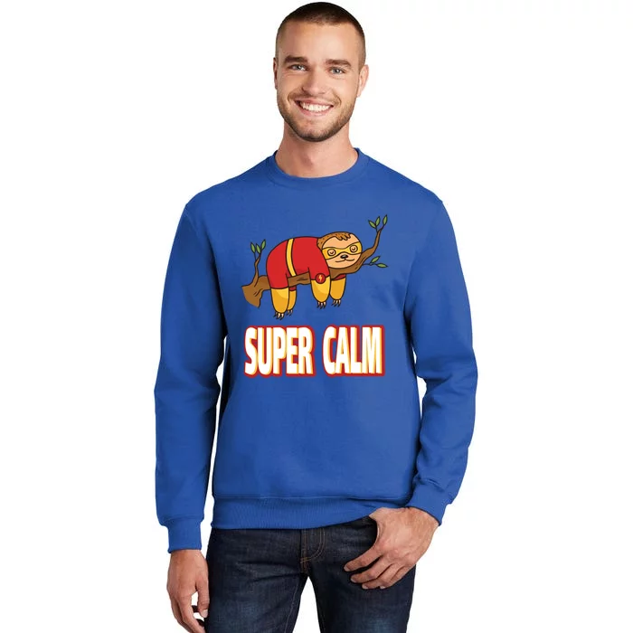 Faultier Super Calm Sloth Nope Not Today Hero Hel Cool Gift Tall Sweatshirt