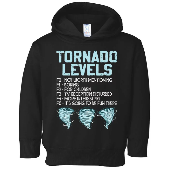 Funny Storm Chaser Chasing Toddler Hoodie