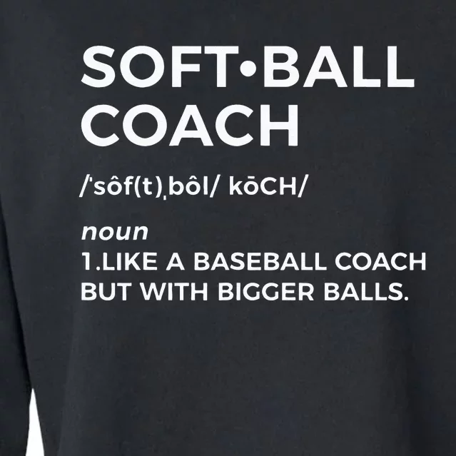 Funny Softball Coach Gift Softball Coach Cropped Pullover Crew