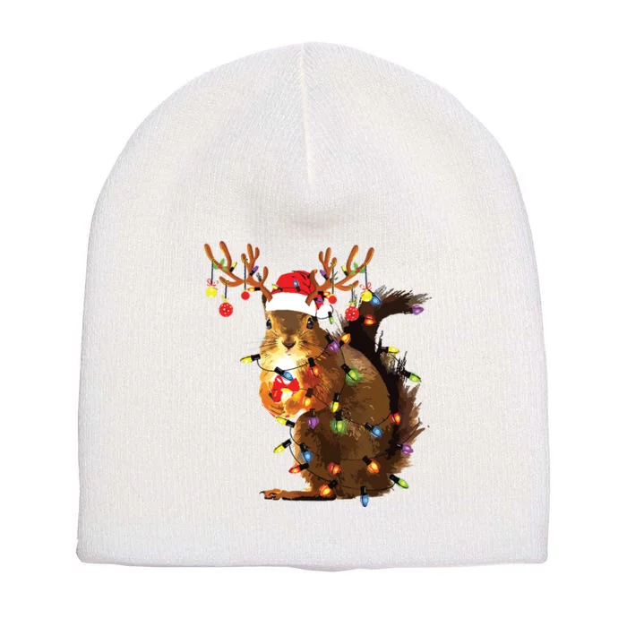 Funny Squirrel Christmas Tree Lights Reindeer Santa Hat Xmas Short Acrylic Beanie