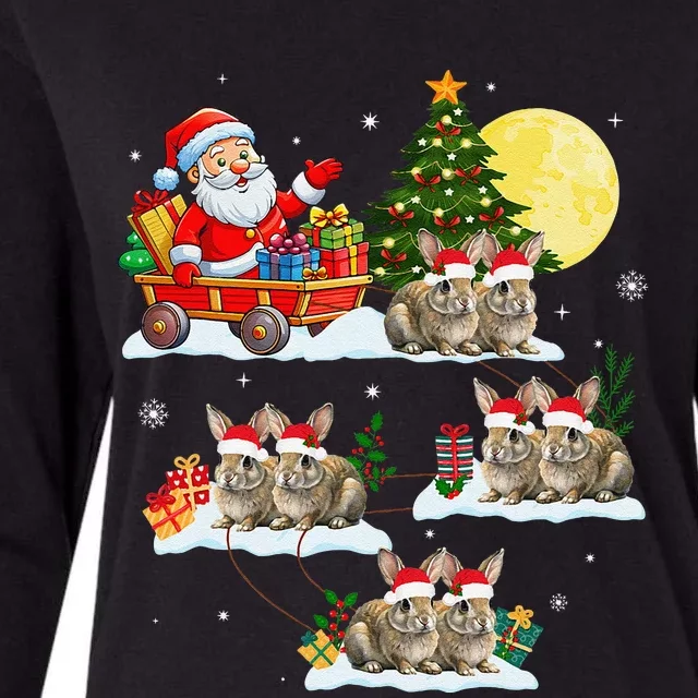 Funny Santa Claus Riding Bunny Rabbit Sleigh Christmas Womens Cotton Relaxed Long Sleeve T-Shirt