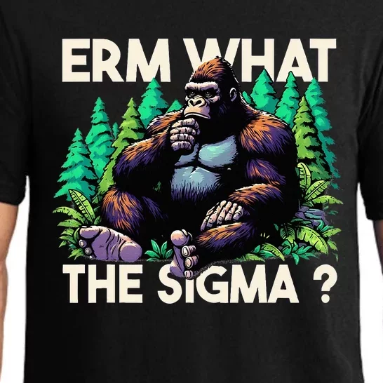 Funny Saying Erm What The Sigma Ironic Pajama Set