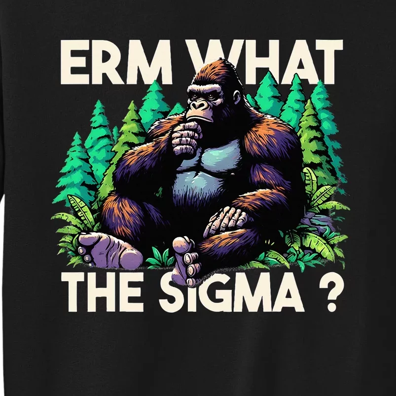 Funny Saying Erm What The Sigma Ironic Tall Sweatshirt