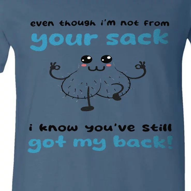 Funny Stepdad Even Though IM Not From Your Sack V-Neck T-Shirt