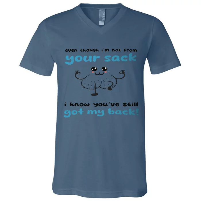 Funny Stepdad Even Though IM Not From Your Sack V-Neck T-Shirt