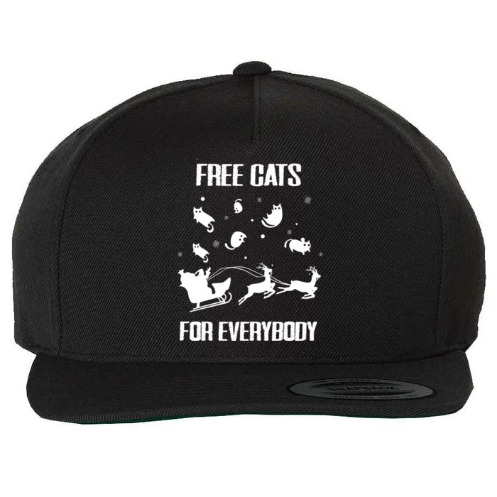 Funny Santa Free Cats For Everybody Sarcastic Christmas Cute Gift Wool Snapback Cap