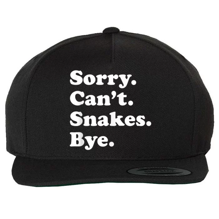 Funny Snake Gift For Men Women Boy Or Girl Wool Snapback Cap