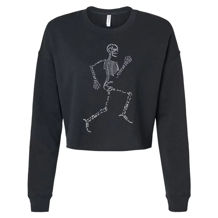 Funny Skeleton Graphic For Physical Therapy Orthopedic Cropped Pullover Crew