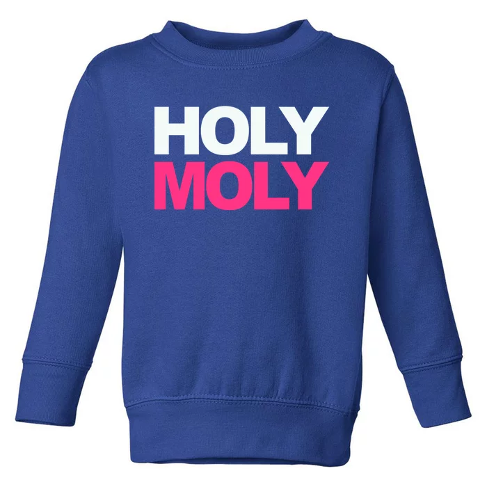 Funny Saying Gift Holy Moly And Gift Toddler Sweatshirt