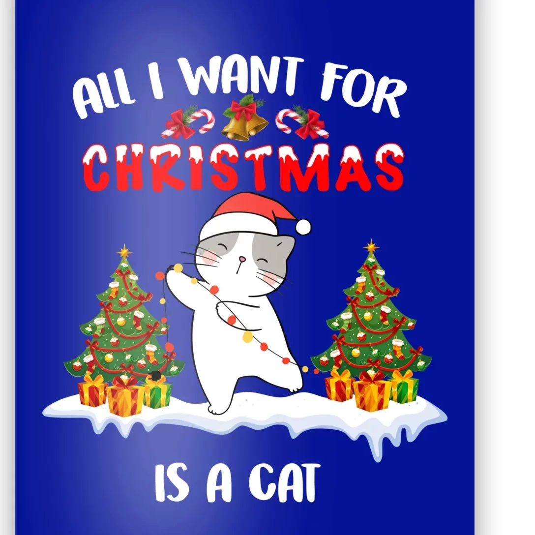 Funny Santa Hat All I Want For Christmas Is A Cat Great Gift Poster