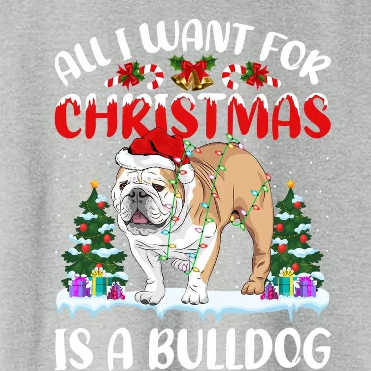 Funny Santa Hat All I Want For Christmas Is A Bulldog Great Gift Women's Crop Top Tee