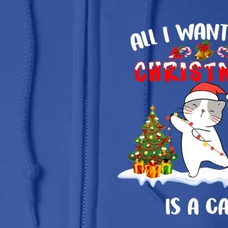 Funny Santa Hat All I Want For Christmas Is A Cat Gift Full Zip Hoodie