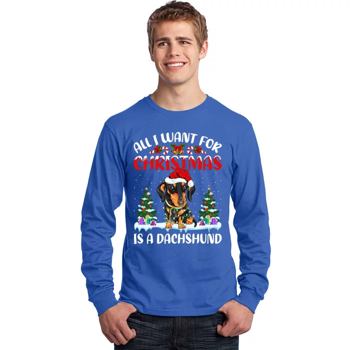 Funny Santa Hat All I Want For Christmas Is A Dachshund Gift Long Sleeve Shirt