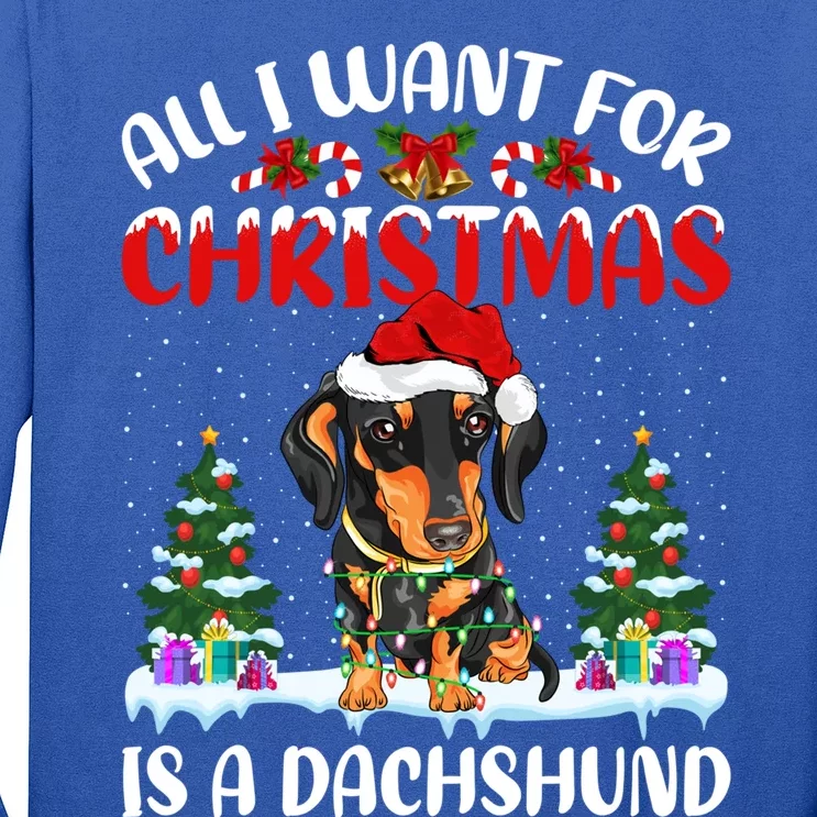 Funny Santa Hat All I Want For Christmas Is A Dachshund Gift Long Sleeve Shirt