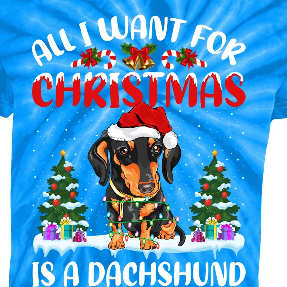 Funny Santa Hat All I Want For Christmas Is A Dachshund Gift Kids Tie-Dye T-Shirt