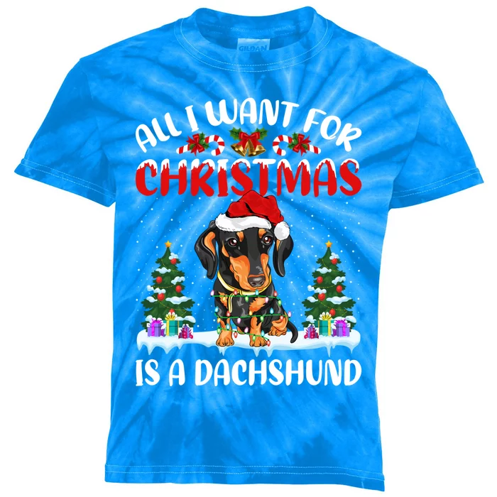 Funny Santa Hat All I Want For Christmas Is A Dachshund Gift Kids Tie-Dye T-Shirt