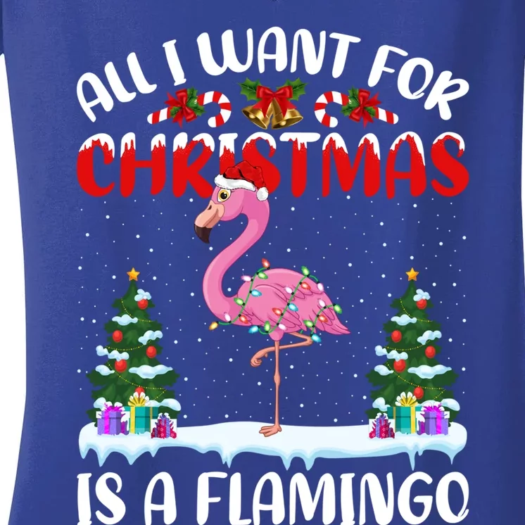 Funny Santa Hat All I Want For Christmas Is A Flamingo Gift Women's V-Neck T-Shirt