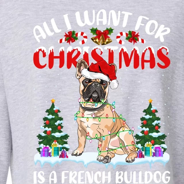 Funny Santa Hat All I Want For Christmas Is A French Bulldog Gift Cropped Pullover Crew