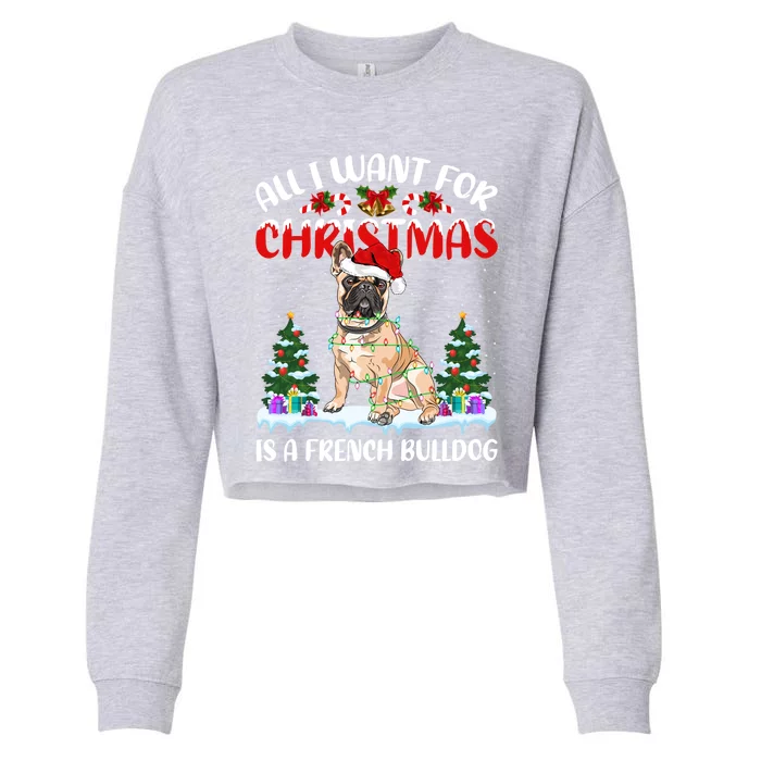 Funny Santa Hat All I Want For Christmas Is A French Bulldog Gift Cropped Pullover Crew