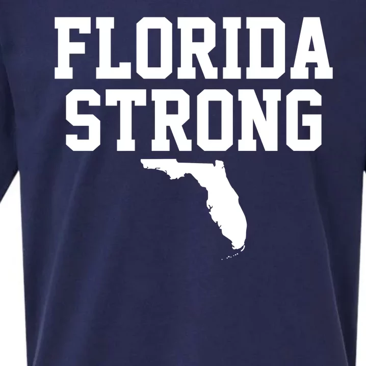 Florida Strong Hurricane Milton Sueded Cloud Jersey T-Shirt