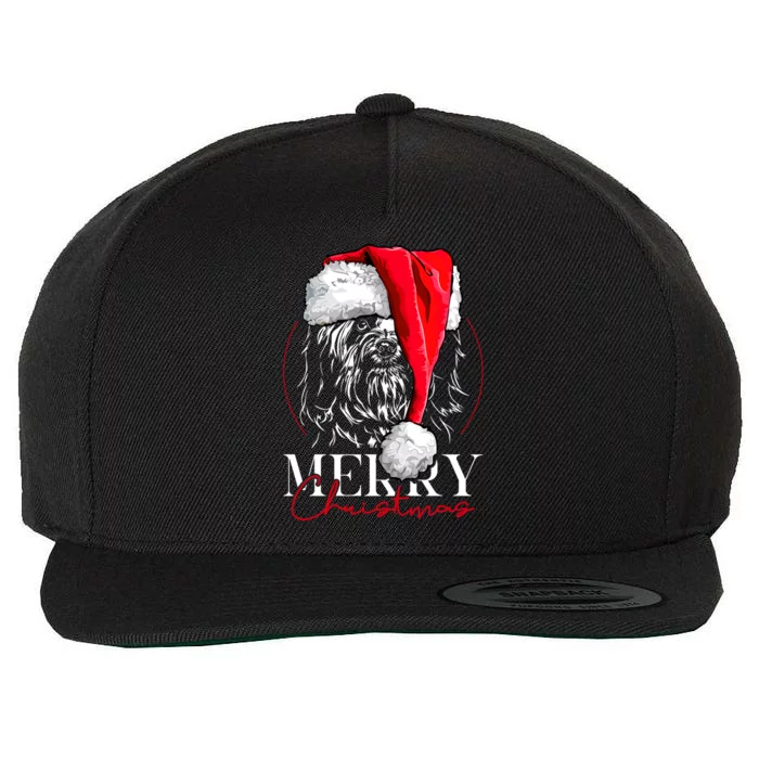 Funny Santa Havanese Merry Christmas Dog Mom Dog Funny Gift Wool Snapback Cap