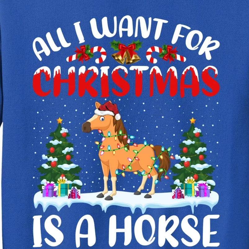 Funny Santa Hat All I Want For Christmas Is A Horse Gift Sweatshirt