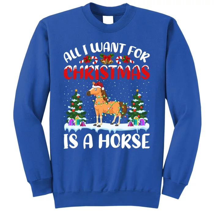 Funny Santa Hat All I Want For Christmas Is A Horse Gift Sweatshirt