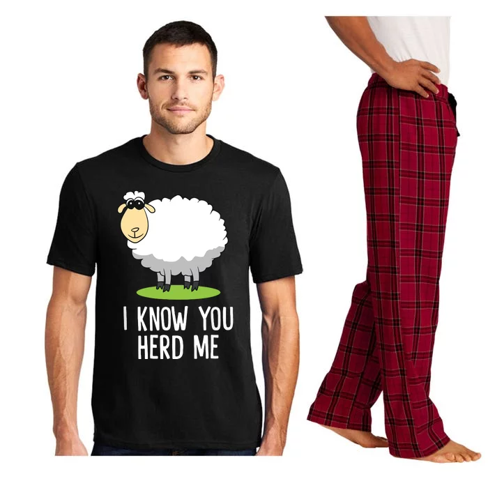 Funny Sheepp I Know You Herd Me Cute Sheepp Lover Gift Sheepp Pajama Set