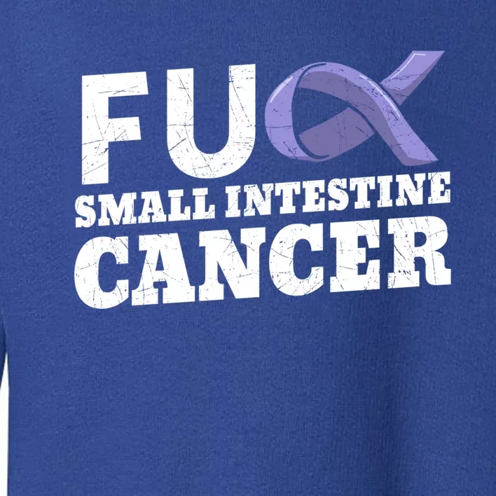 Fuck Small Intestine Cancer Bowel Cancer Awareness Duodenal Gift Toddler Sweatshirt