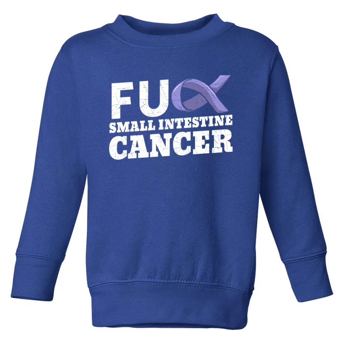 Fuck Small Intestine Cancer Bowel Cancer Awareness Duodenal Gift Toddler Sweatshirt