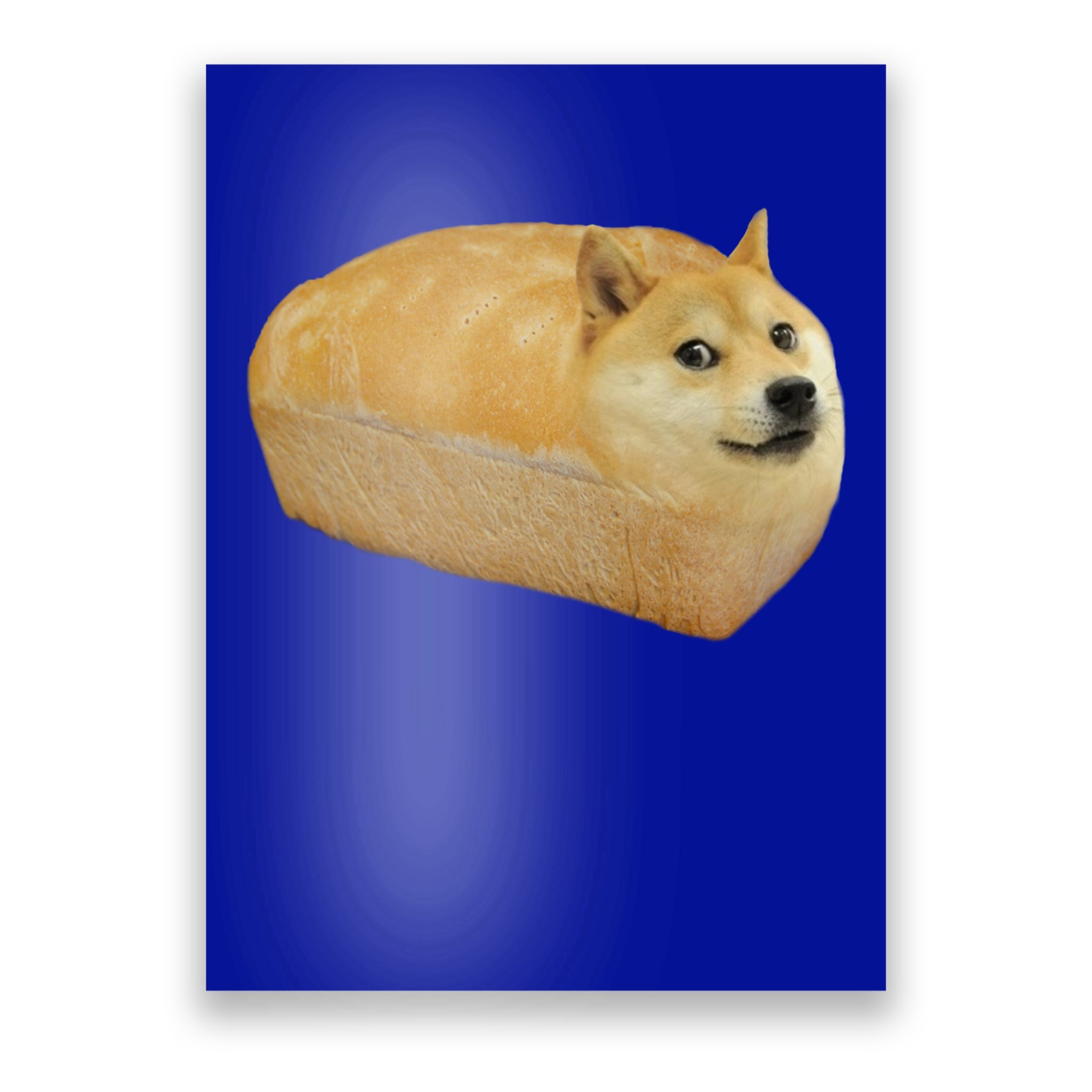 Fashion Shiba Inu Doge Bread Meme Dog Sweatshirt 