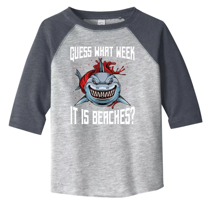 Funny Shark Joke Guess What Week It Is Sarcastic Party Beach Toddler Fine Jersey T-Shirt