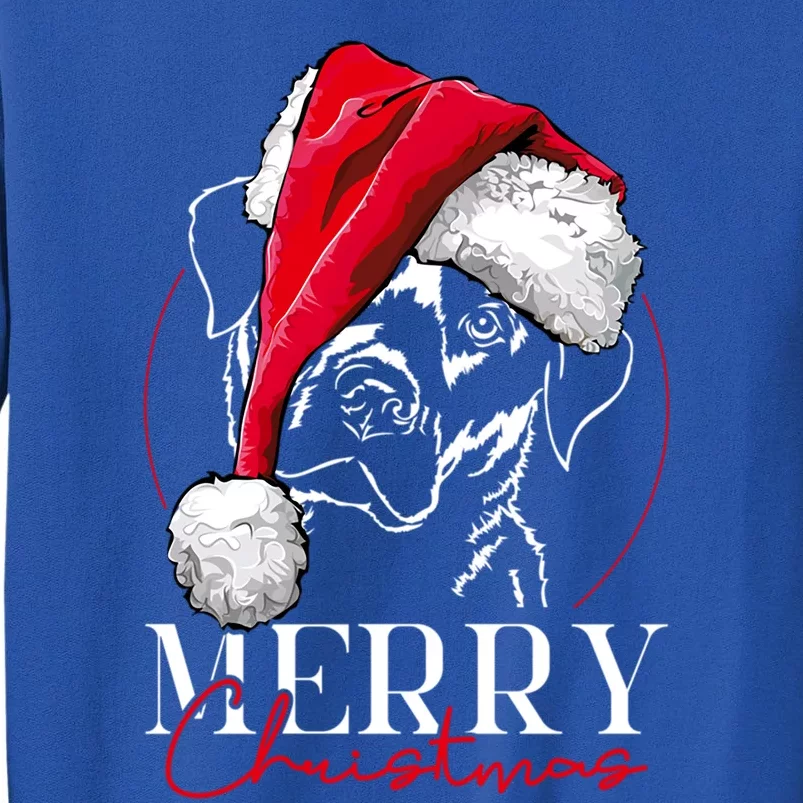 Funny Santa Labrador Retriever Merry Christmas Dog Lab Mom Cool Gift Tall Sweatshirt