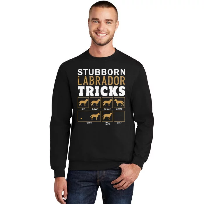 Funny Stubborn Labrador Retriever Dog Tricks Black Lab Gifts Tall Sweatshirt