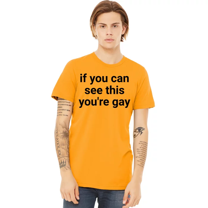 Funny Saying Men Pride Gay If You Can See This Youre Gay Premium T-Shirt