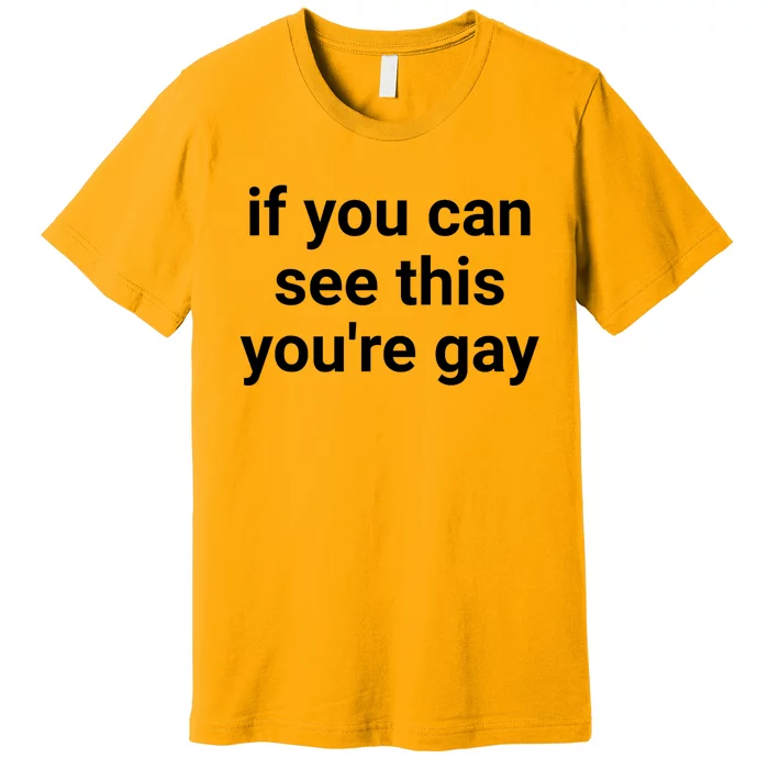 Funny Saying Men Pride Gay If You Can See This Youre Gay Premium T-Shirt